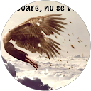 Profilbild von „Sorin Ionut Sarau“